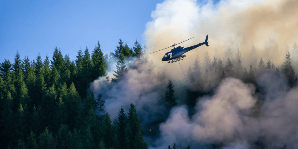 A wildfire crew at work near Port Alice on Vancouver Island.